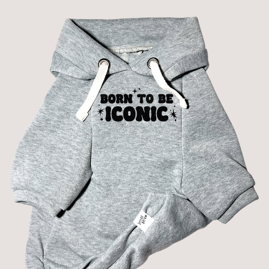 Born to be ICONIC ✨ | Basic Hoodie