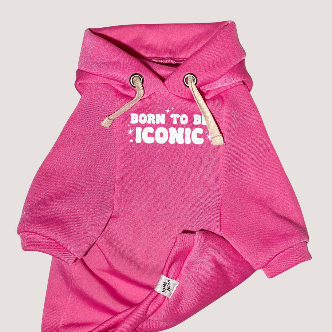 Born to be ICONIC ✨ | Basic Hoodie