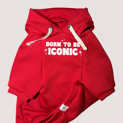 Born to be ICONIC ✨ | Basic Hoodie