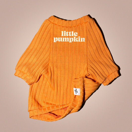 Little Pumpkin 🎃 | Knit Sweater 🧶