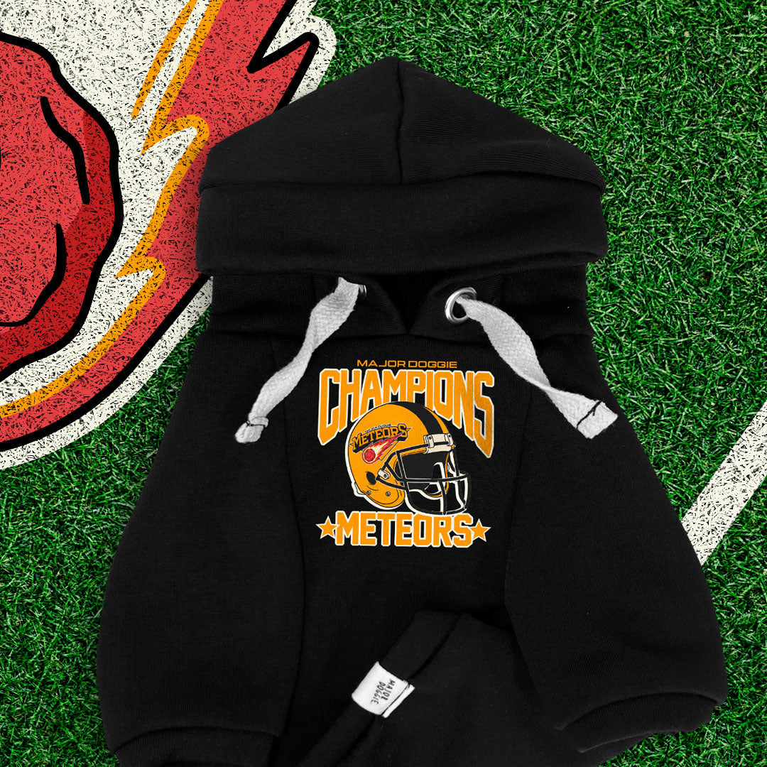 Champions Meteors ☄️ | Basic Hoodie