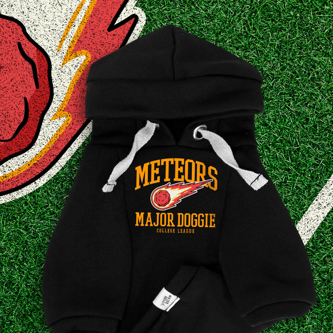 Meteors College Football 🏈 | Basic Hoodie