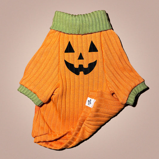 Pumpkin 🎃 | Knit Sweater 🧶