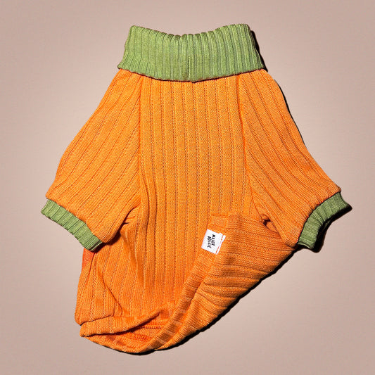 Clean Look | Pumpkin Knit Sweater 🧶