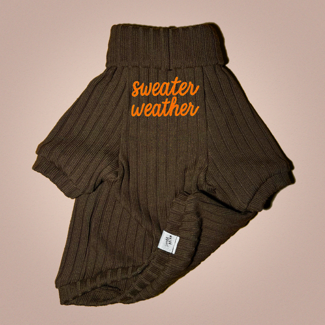 Sweater Weather | Knit Sweater 🧶