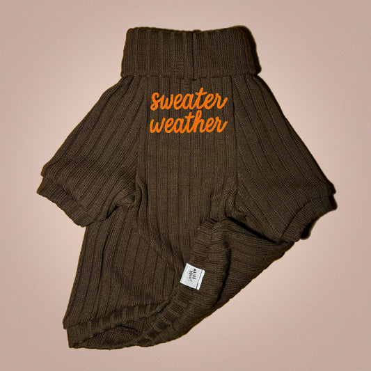 Sweater Weather | Knit Sweater 🧶