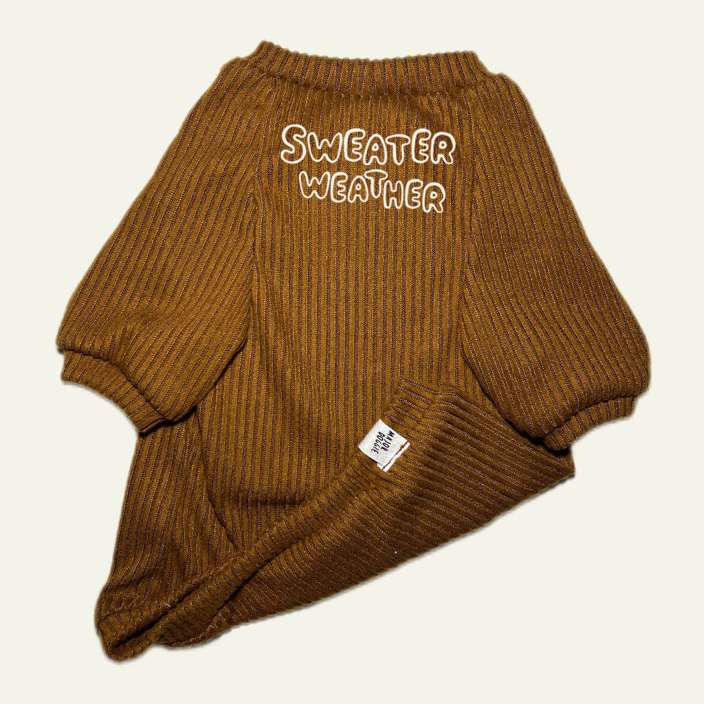 Sweater Weather 🌨️
