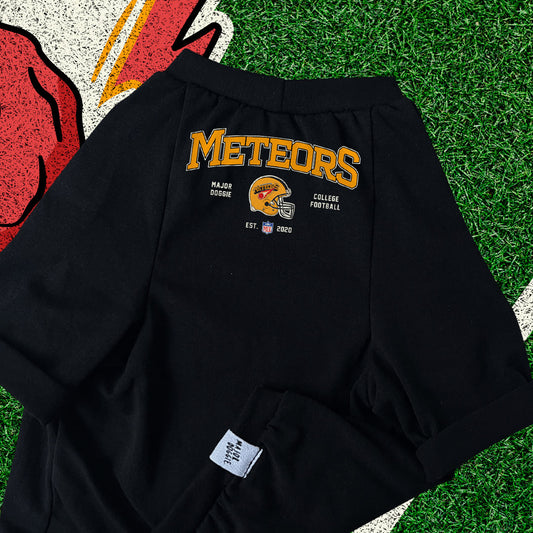 Meteors 2020 Football 🏈  | Basic Tee