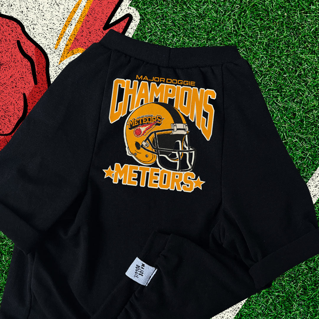 Champions Meteors ☄️  | Basic Tee