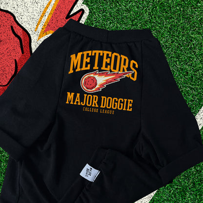 Meteors College Football 🏈  | Basic Tee
