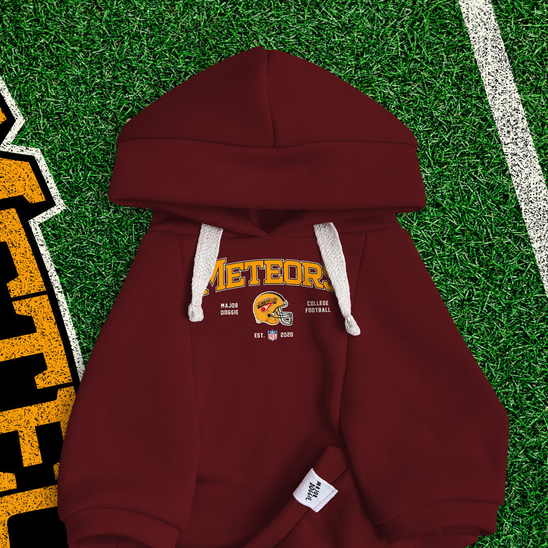 Meteors 2020 Football 🏈 | Basic Hoodie