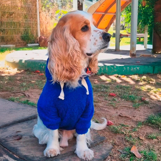 Electric Blue | Soft Teddy Hoodie