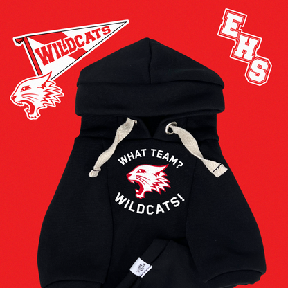 HSM | What team? | Basic Hoodie