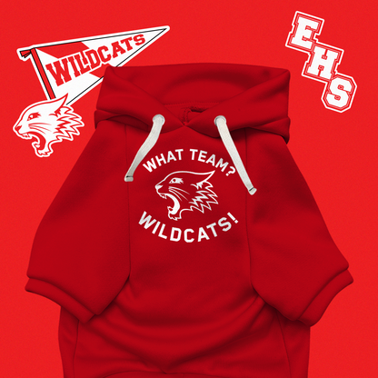HSM | What team? | Basic Hoodie