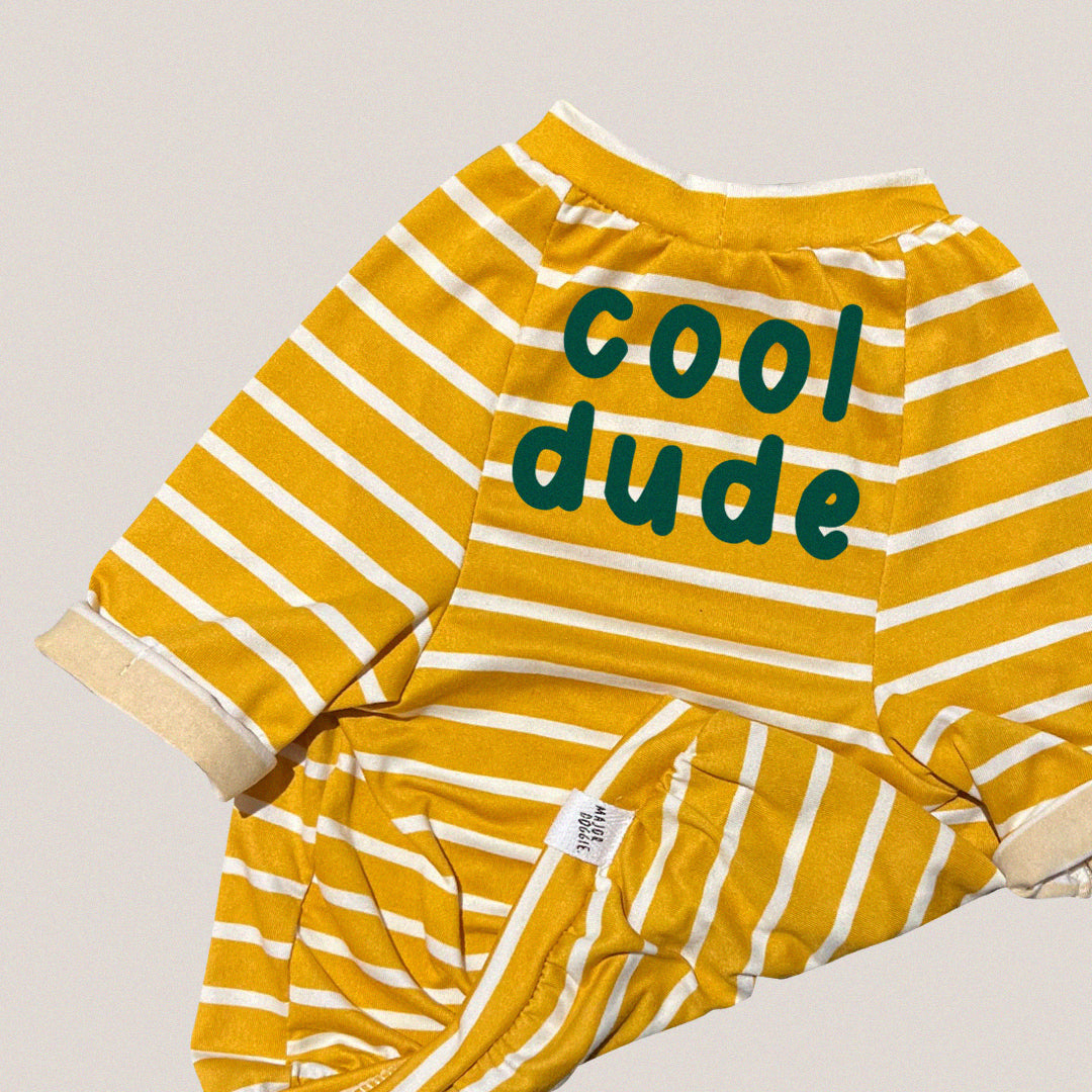 Cool Dude | Lightweight Tee