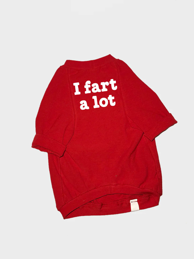 i fart a lot